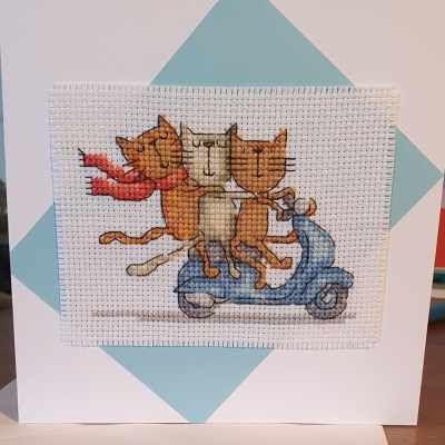 Cats on a Motorbike Card