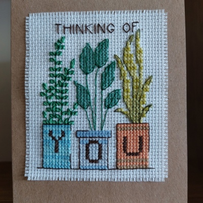 Thinking of You Plants