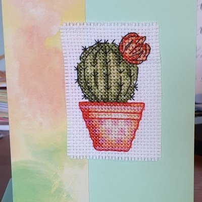 Cactus Card